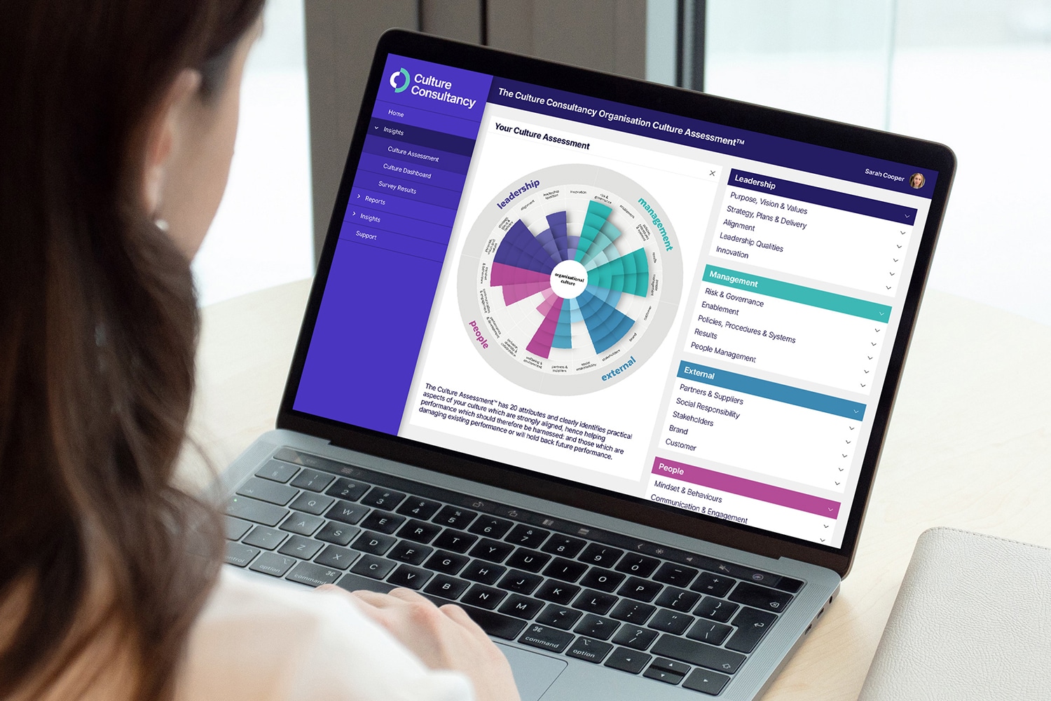 Culture Consultancy organisation culture assesment