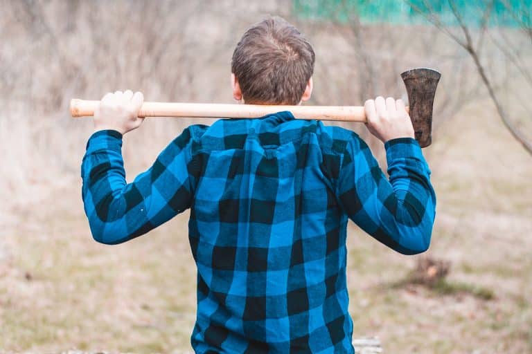 How strategic team structures drive business evolution