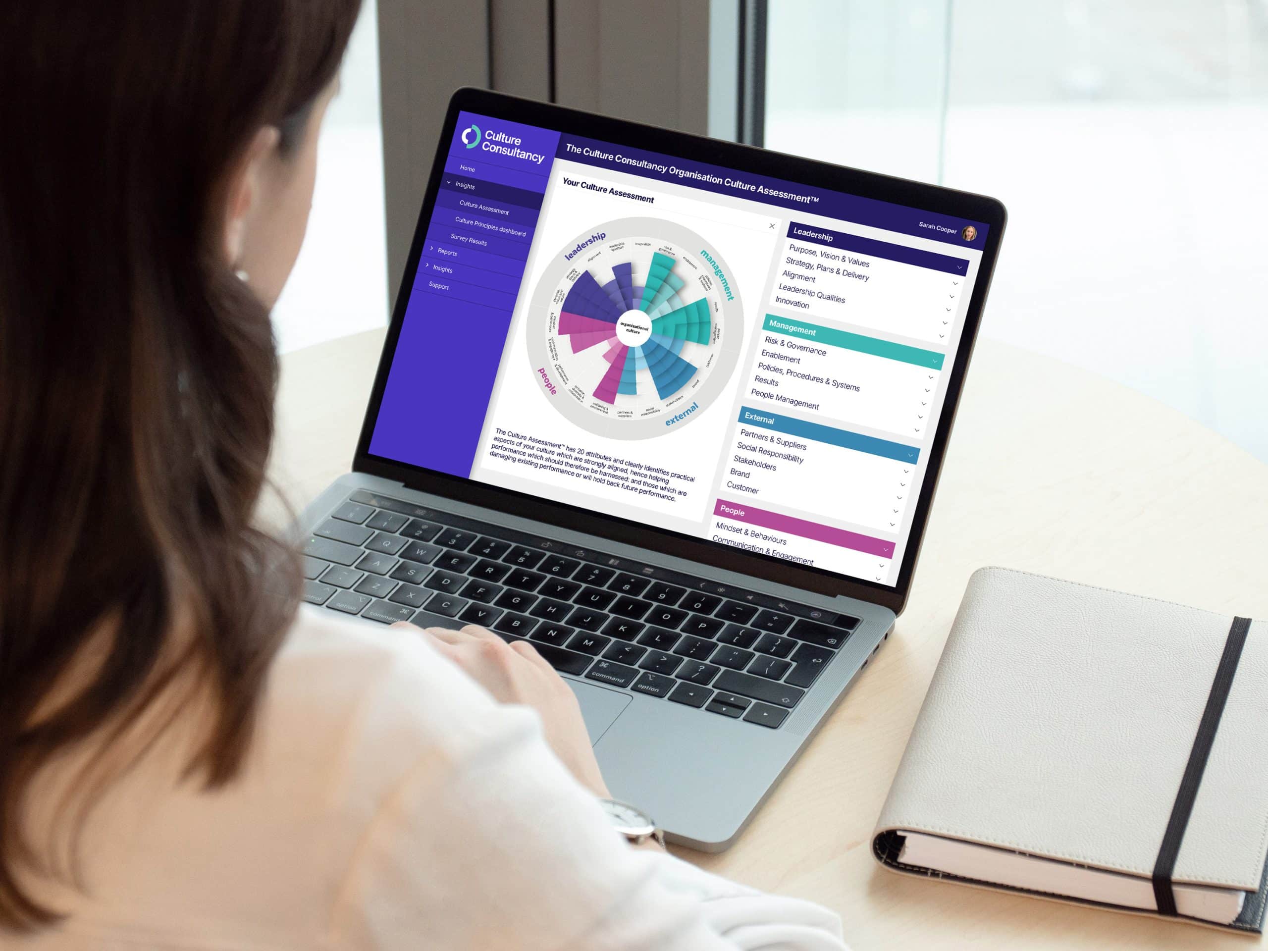 Culture Consultancy culture assessment dashboard