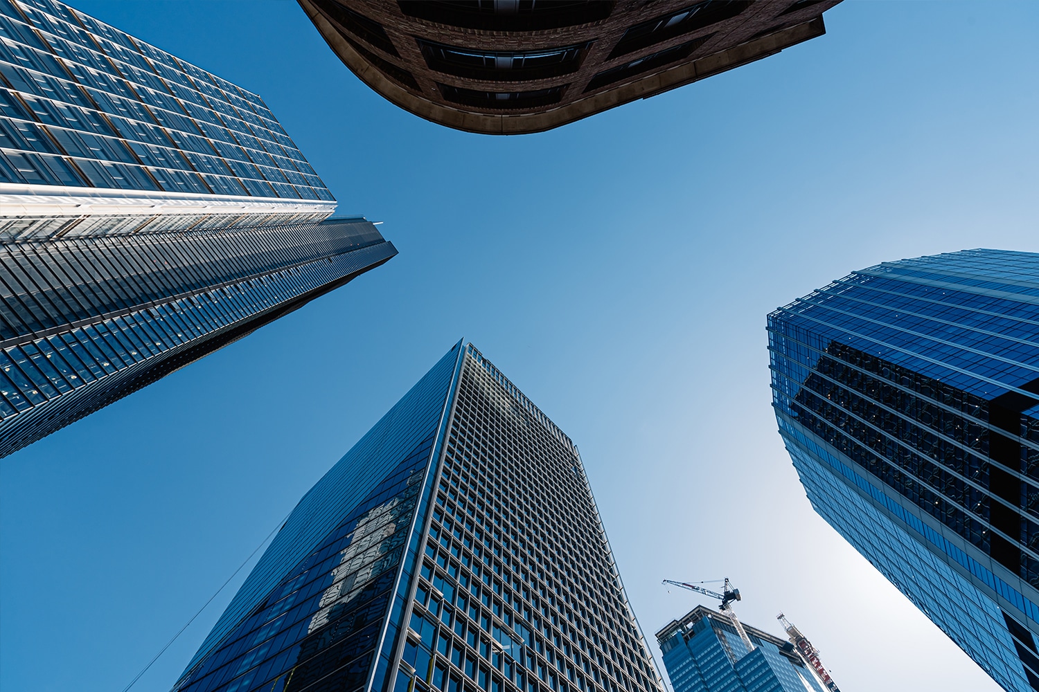 Embedding a culture of deib for a fast-growth pensions business